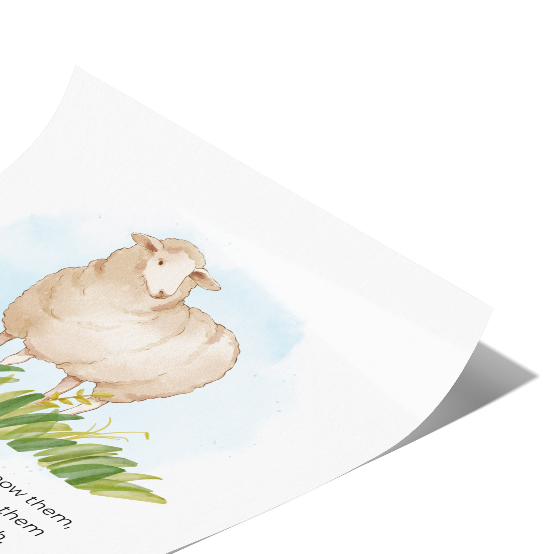 My_sheep_hear_my_voice_-_John_1027_11x14_Fold_V_Mockup.png