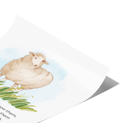 My_sheep_hear_my_voice_-_John_1027_11x14_Fold_V_Mockup.png